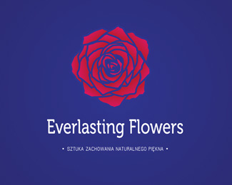 Everlasting Flowers