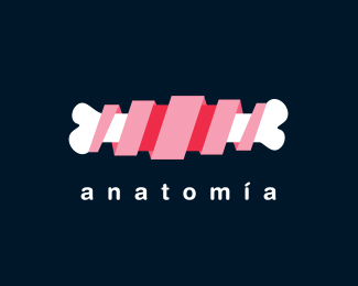 Anatomía