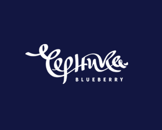 blueberry / черника