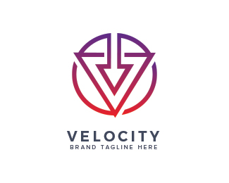 Velocity