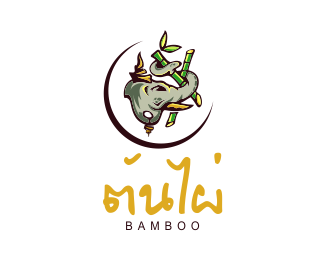 Bamboo