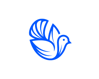 Bird Logo Design