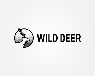 Wild Deer