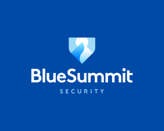 Blue Summit Security