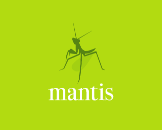 mantis