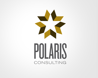 Consulting Firm