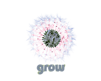 grow