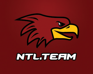 NTL.TEAM