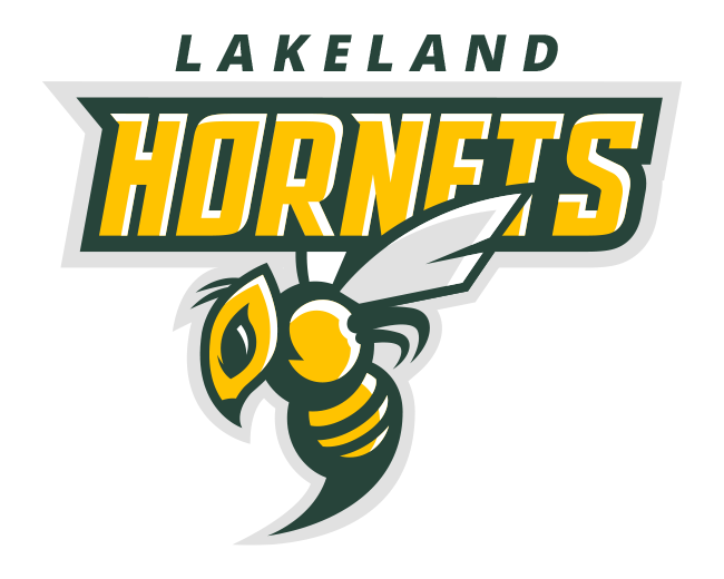 Hornets logo