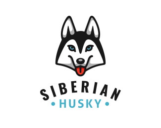 Siberian Husky