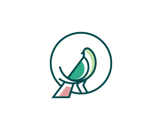 Bird Logo Design Template