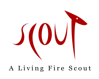 Scout