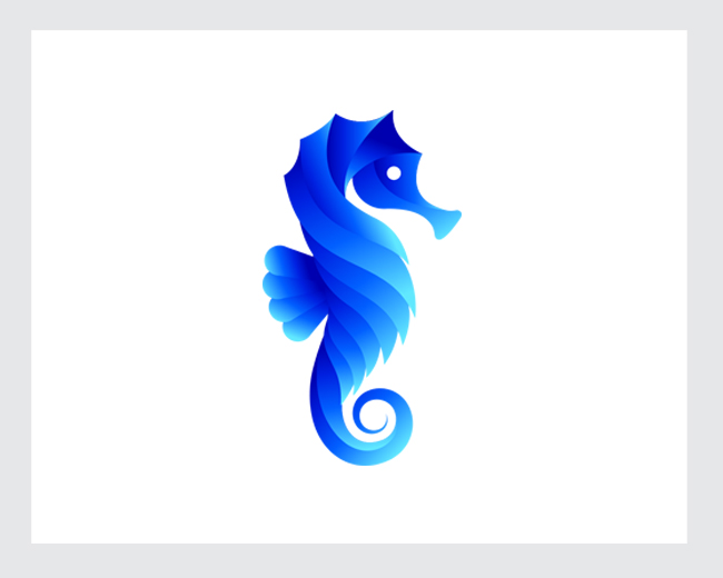 Seahorse