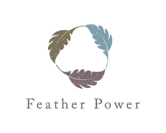 Feather Power