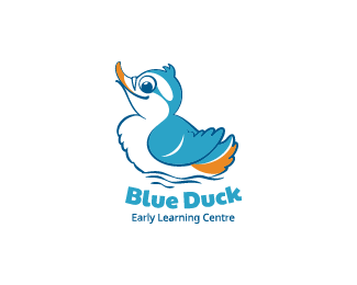 Blue Duck