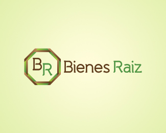 Bienes Raiz