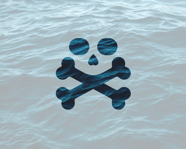 Pirate Flag Skull