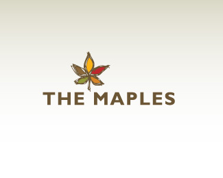 the maples