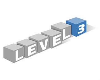 Level 3