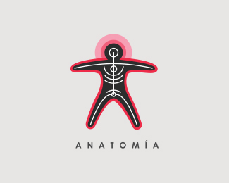 Anatomía