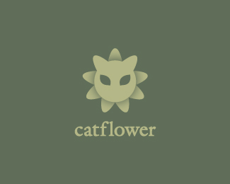 Catflower