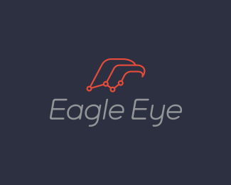 Eagle Eye