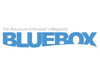 BlueBox