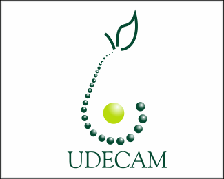 UDECAM