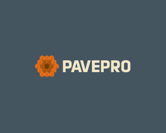 PavePro