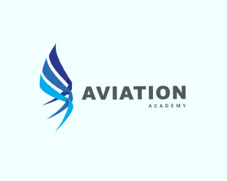 Aviation Academy