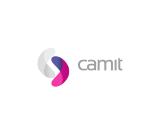 Camit Consultores