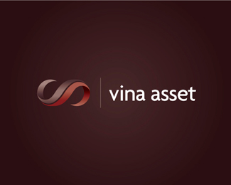 vina asset