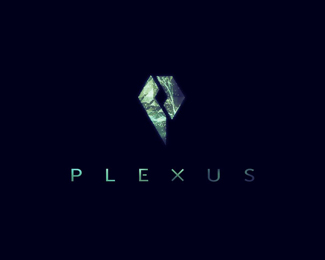 Plexus