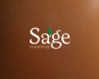 Sage Consultiing