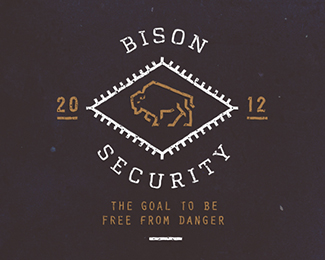 BISON SECURITY