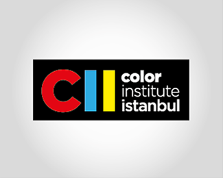 COLOR INSTITUE ISTANBUL