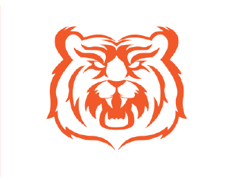 Cincinnati Bengals Logo Concept