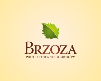 Brzoza