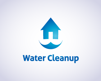 Water Cleanup