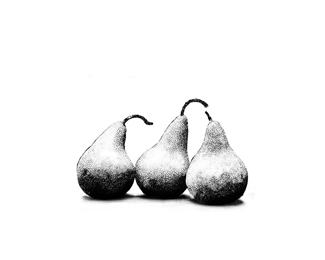 3 PEARS - hand drawn - SALE!