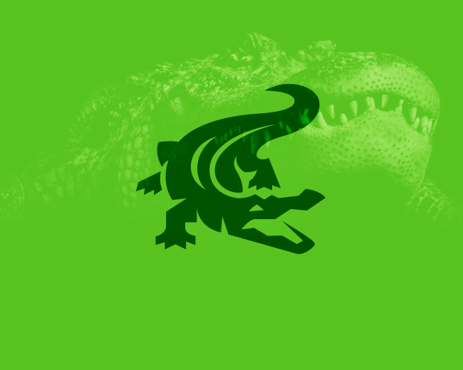 Crocodile / Alligator