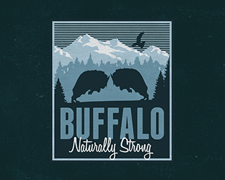 Buffalo Logo