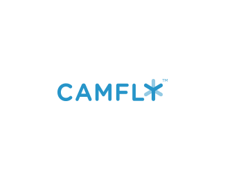 CAMFLY