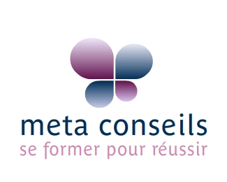 meta conseils