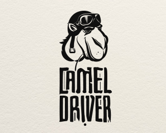 Camel Driver | Band logo