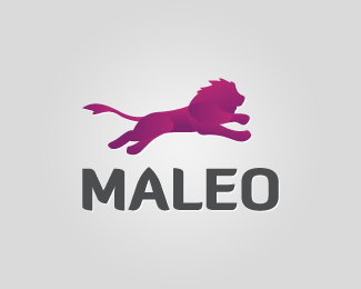 MALEO Creative Studio