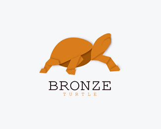 Bronze Turtle