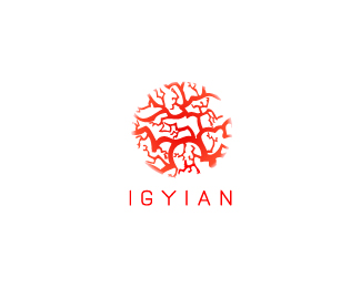 iGyan