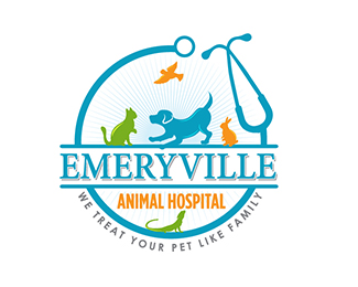 EmervilleHospital