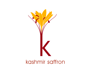 kashmir